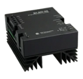 ���� ���������� �����-�����������